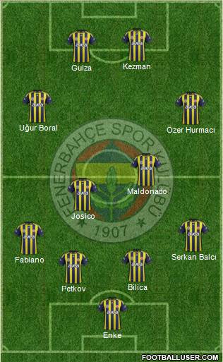 Fenerbahçe SK Formation 2012
