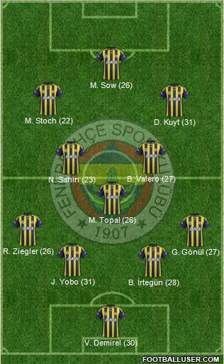 Fenerbahçe SK Formation 2012