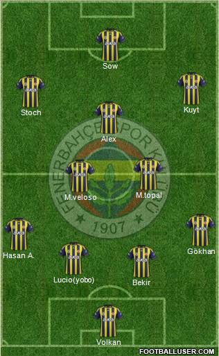 Fenerbahçe SK Formation 2012