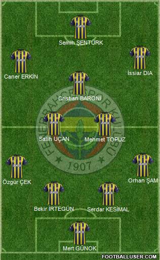 Fenerbahçe SK Formation 2012