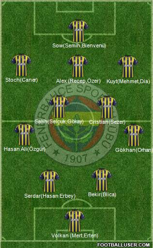 Fenerbahçe SK Formation 2012