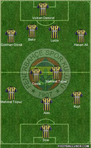 Fenerbahçe SK Formation 2012