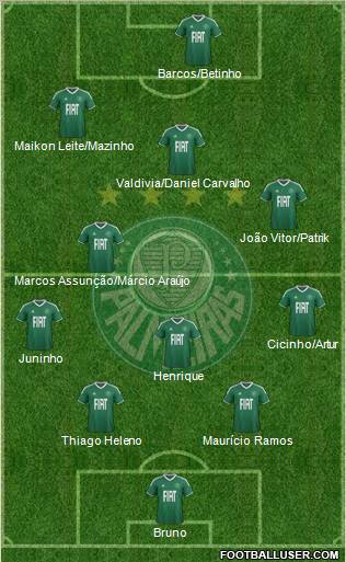 SE Palmeiras Formation 2012