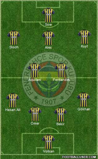 Fenerbahçe SK Formation 2012