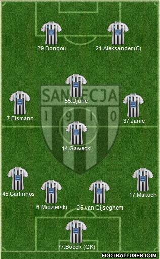 Sandecja Nowy Sacz Formation 2012
