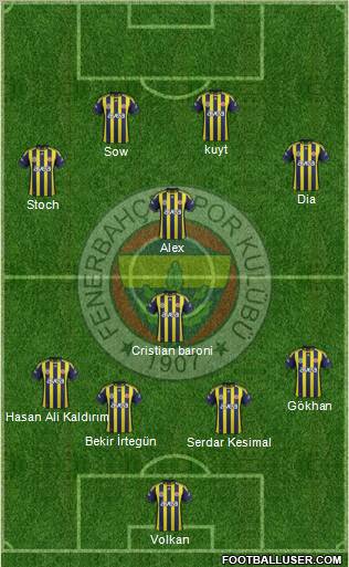 Fenerbahçe SK Formation 2012