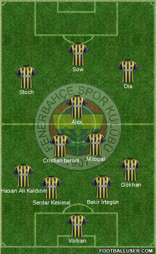 Fenerbahçe SK Formation 2012