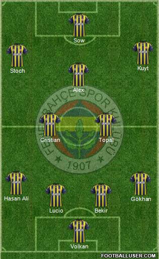 Fenerbahçe SK Formation 2012