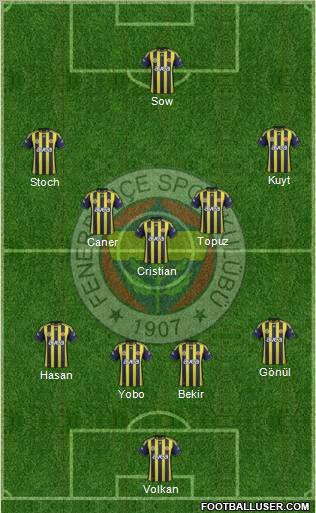 Fenerbahçe SK Formation 2012