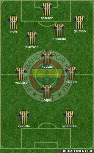 Fenerbahçe SK Formation 2012