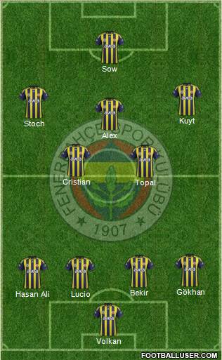 Fenerbahçe SK Formation 2012