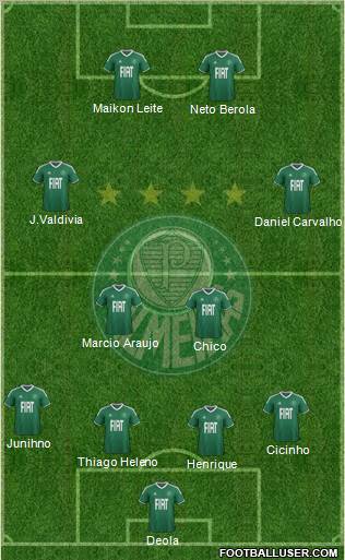 SE Palmeiras Formation 2012