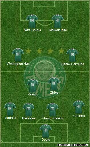SE Palmeiras Formation 2012