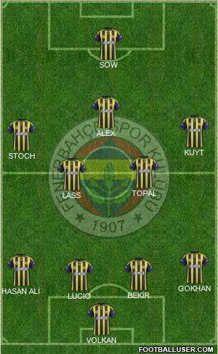 Fenerbahçe SK Formation 2012