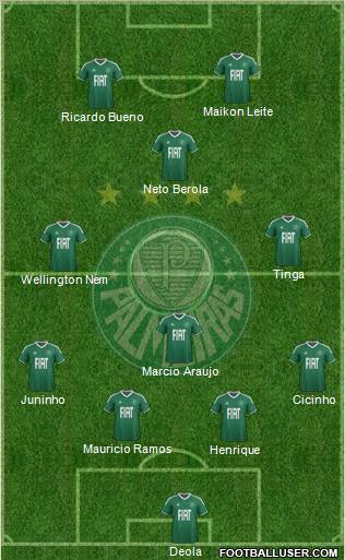 SE Palmeiras Formation 2012