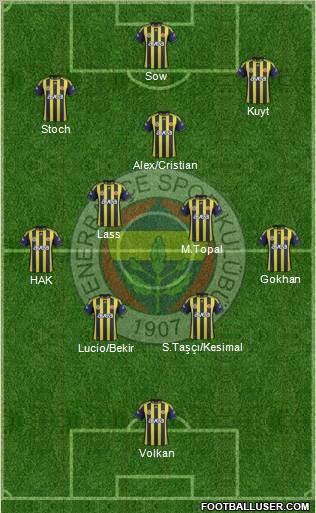 Fenerbahçe SK Formation 2012