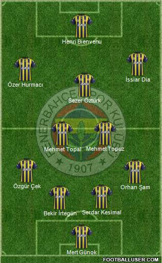 Fenerbahçe SK Formation 2012