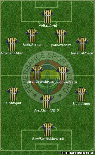 Fenerbahçe SK Formation 2012