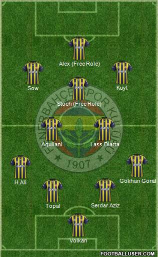 Fenerbahçe SK Formation 2012