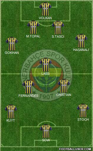Fenerbahçe SK Formation 2012