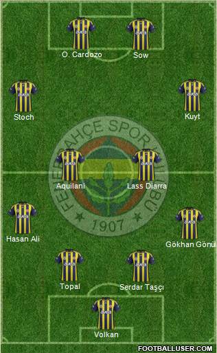 Fenerbahçe SK Formation 2012