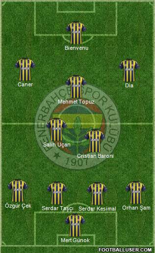 Fenerbahçe SK Formation 2012