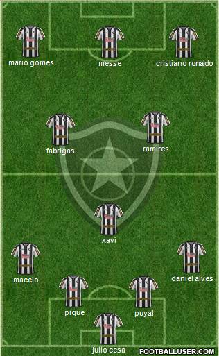 Botafogo FR Formation 2012