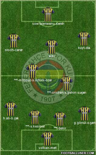 Fenerbahçe SK Formation 2012