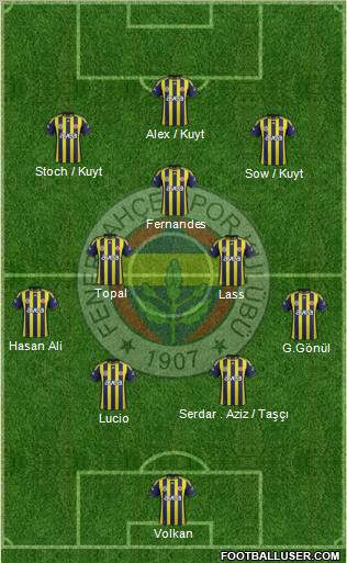 Fenerbahçe SK Formation 2012
