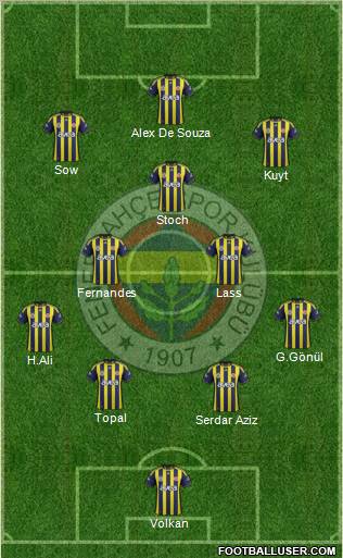 Fenerbahçe SK Formation 2012