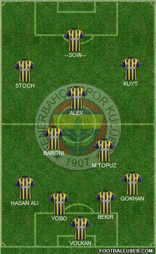 Fenerbahçe SK Formation 2012