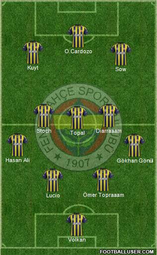 Fenerbahçe SK Formation 2012