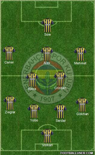 Fenerbahçe SK Formation 2012