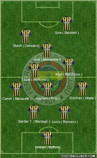 Fenerbahçe SK Formation 2012