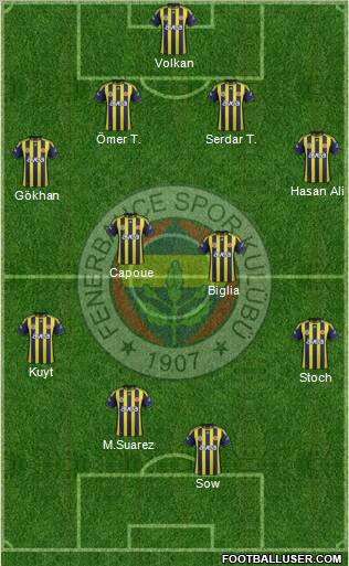 Fenerbahçe SK Formation 2012