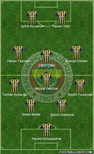 Fenerbahçe SK Formation 2012