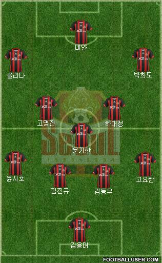 FC Seoul Formation 2012