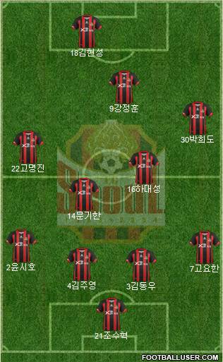 FC Seoul Formation 2012