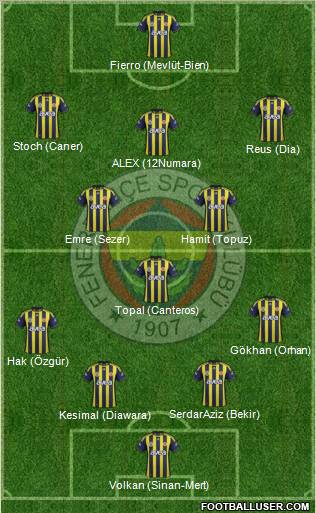 Fenerbahçe SK Formation 2012