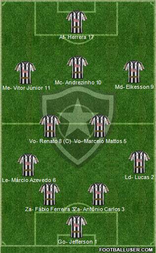 Botafogo FR Formation 2012