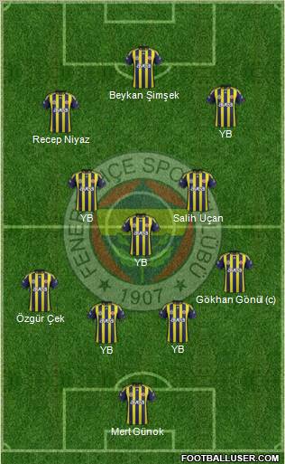 Fenerbahçe SK Formation 2012