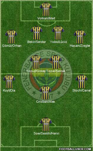 Fenerbahçe SK Formation 2012