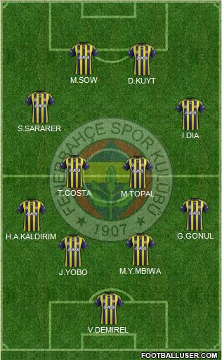 Fenerbahçe SK Formation 2012