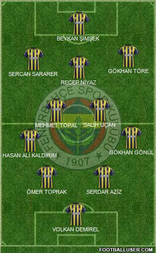 Fenerbahçe SK Formation 2012