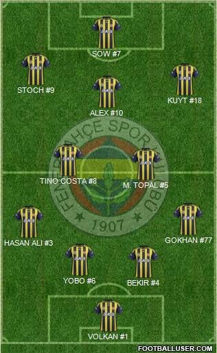 Fenerbahçe SK Formation 2012