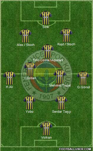 Fenerbahçe SK Formation 2012
