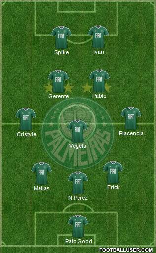 SE Palmeiras Formation 2012