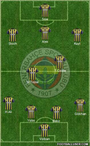 Fenerbahçe SK Formation 2012