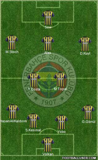Fenerbahçe SK Formation 2012