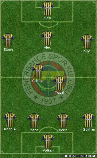Fenerbahçe SK Formation 2012
